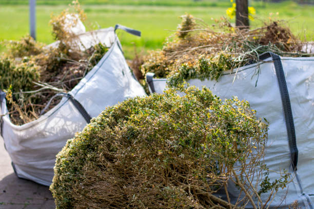 Yard Cleanup Services in Canyon Lake, TX